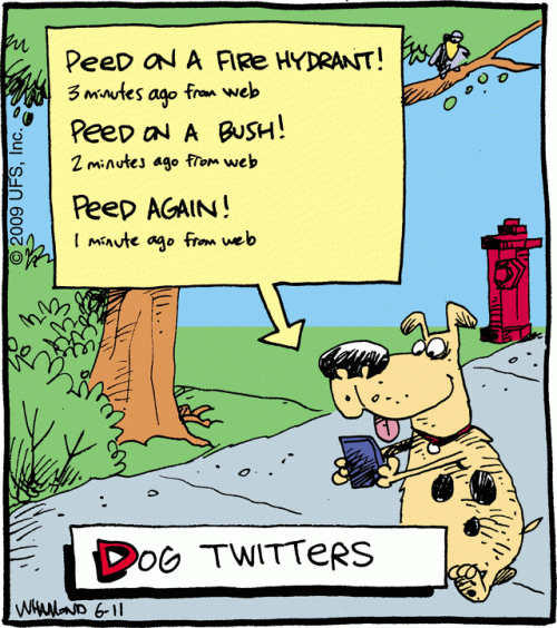 dog-tweets